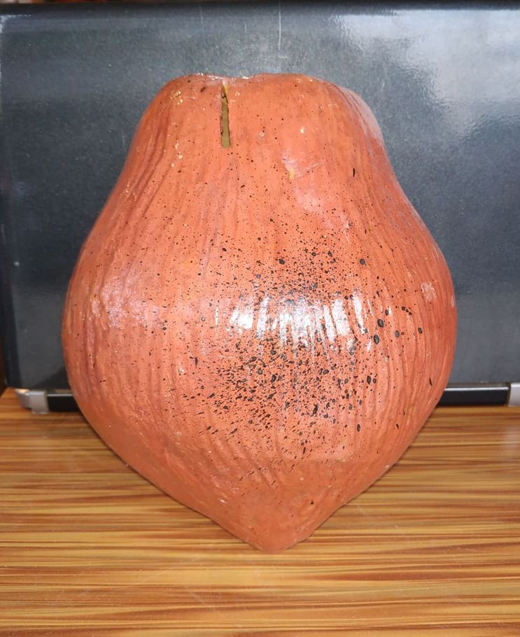 Matir coconut bank/ মাটির নারিকেল আকৃতির ব্যাংক