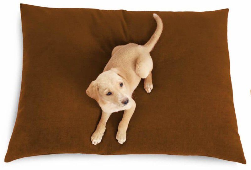 Prazuchi - Handcrafted Perfection B07G3X3TYM-Luxury Waterproof Dog Bed for All Breeds M Pet Bed  (Chestnut Brown)
