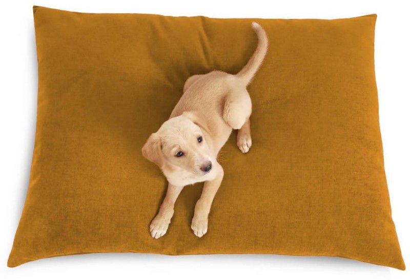 Prazuchi - Handcrafted Perfection B07G426313-Luxury Waterproof Dog Bed for All Breeds L Pet Bed  (Golden Yellow)