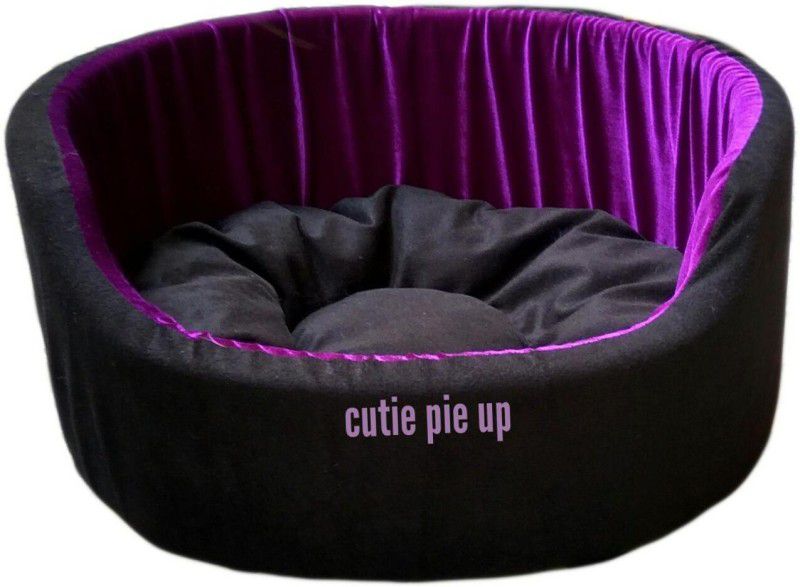 Cutie Pie Up PR-1920244 XL Pet Bed  (Purple)