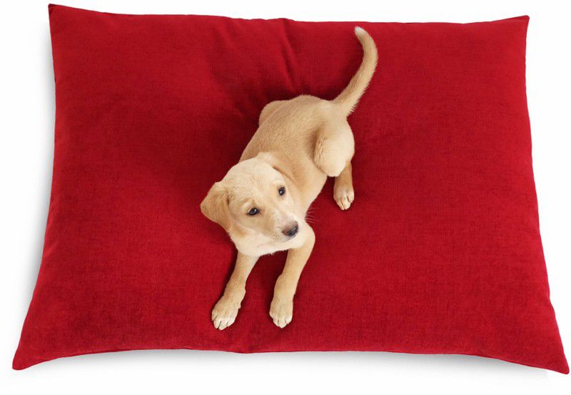 Prazuchi - Handcrafted Perfection B07G4157CN-Luxury Waterproof Dog Bed for All Breeds M Pet Bed  (Royal Red)