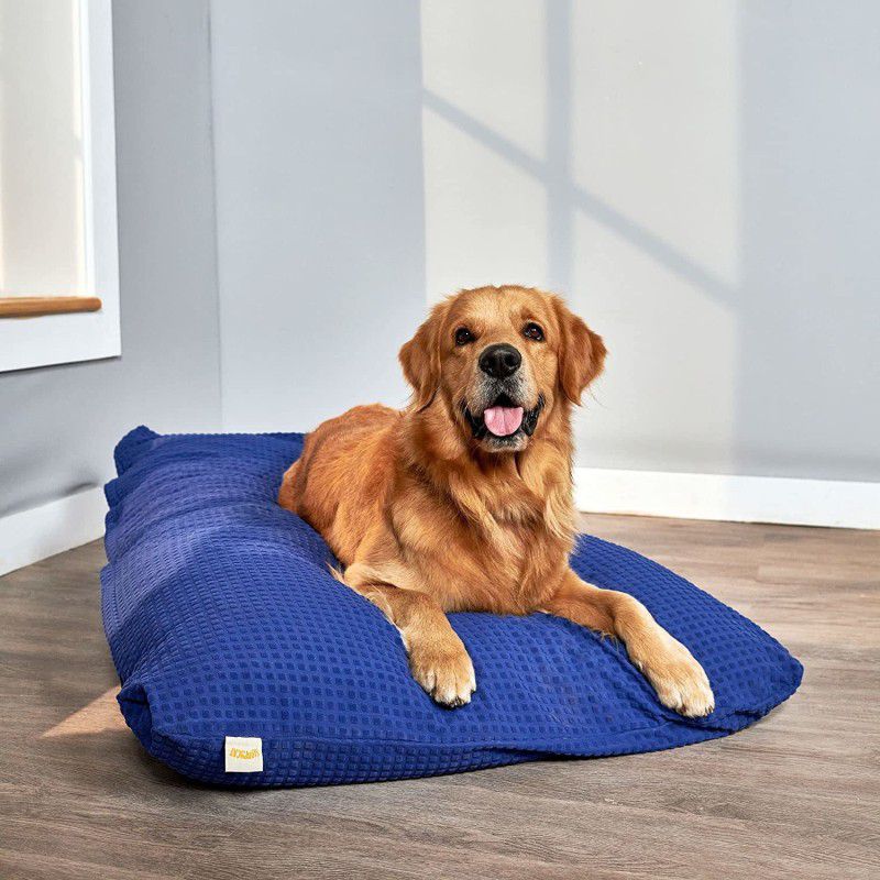 SleepyCat Original Splash Resistant L Pet Bed  (Blue)