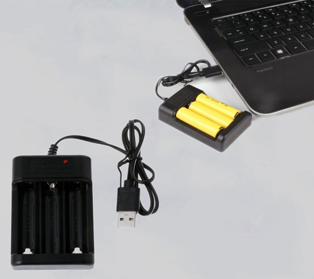 Rechargeable Battery Charger Adapter USB Plug