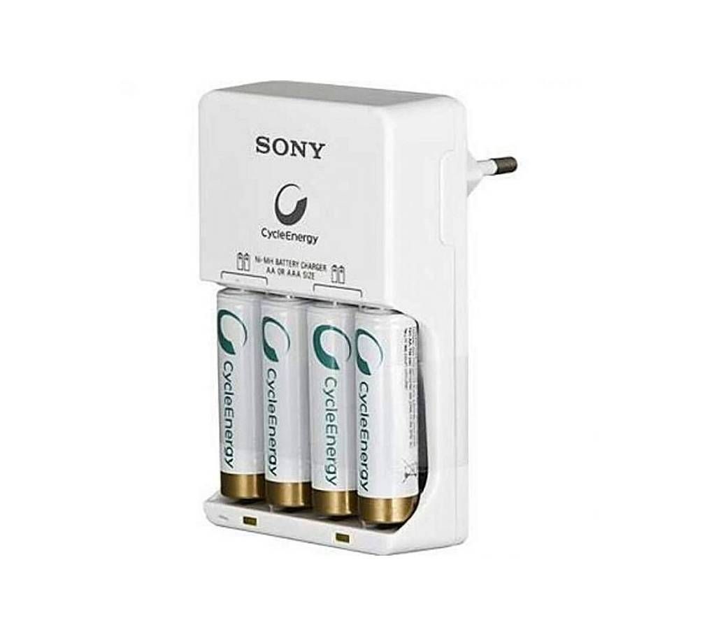 Rechargeable Battery and Power Charger
