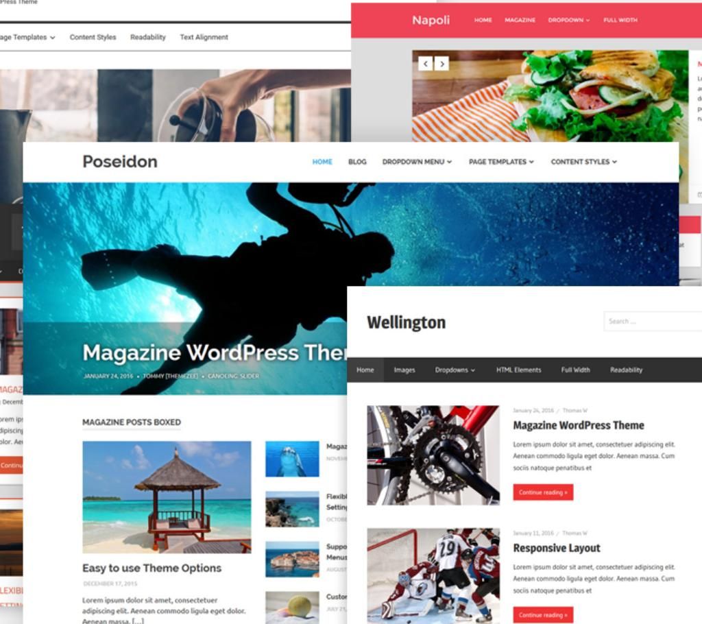 wordpress premium theme and plugin