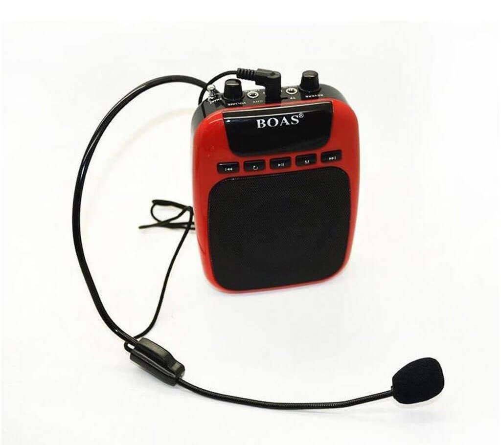 portable mic/ speaker