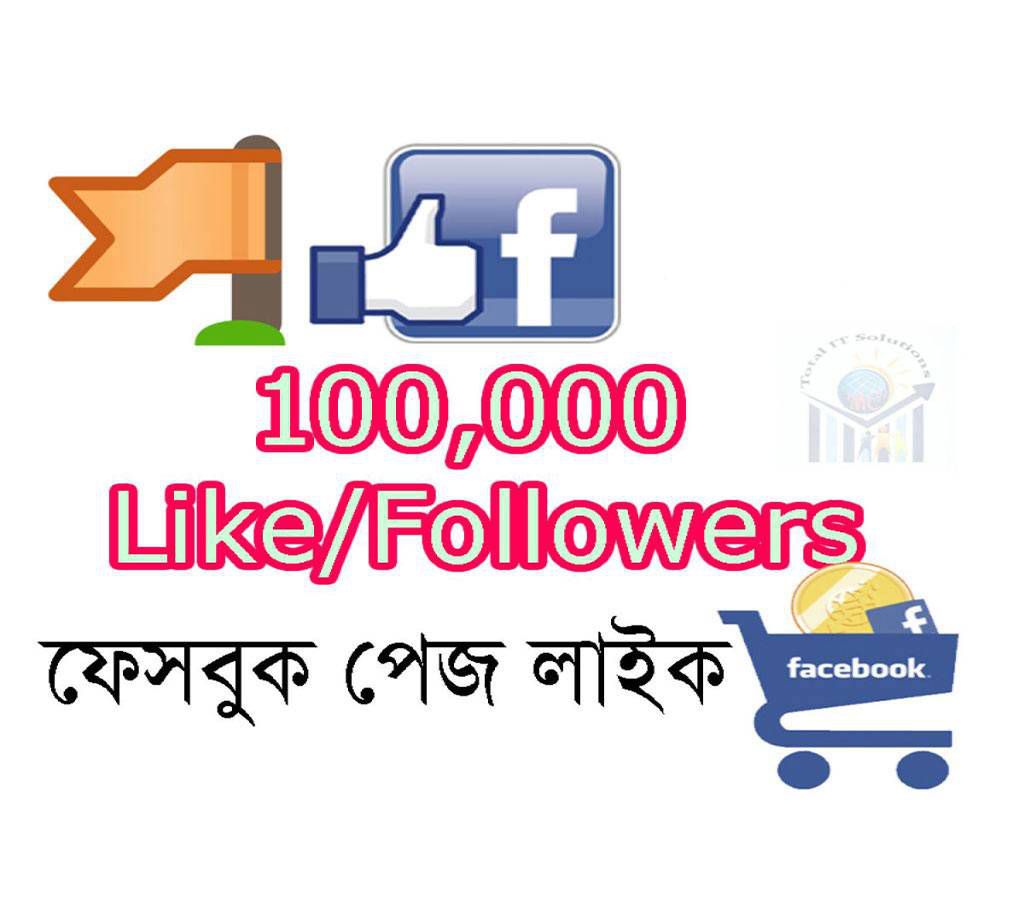 100,000 (100k) Facebook Page Like/followers Promote Page
