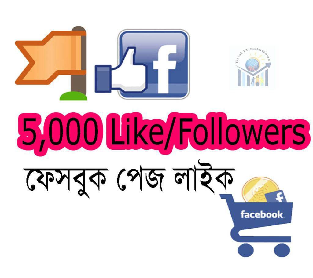 5000 (5k) Facebook Page Like/followers Promote Page