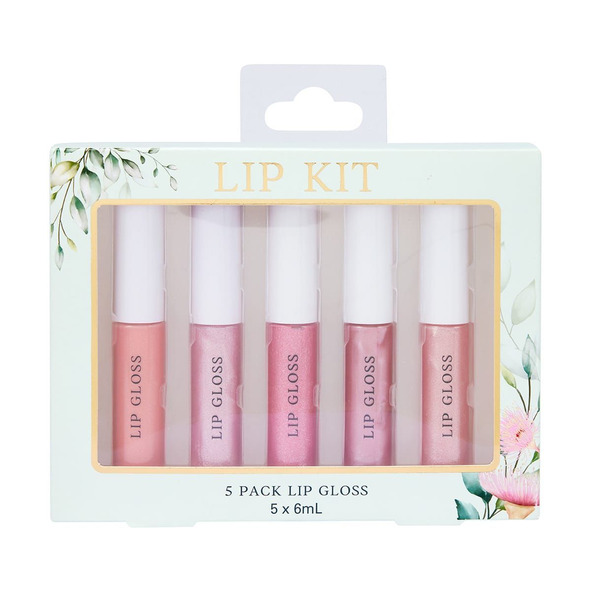 5 Pack Lip Gloss Kit