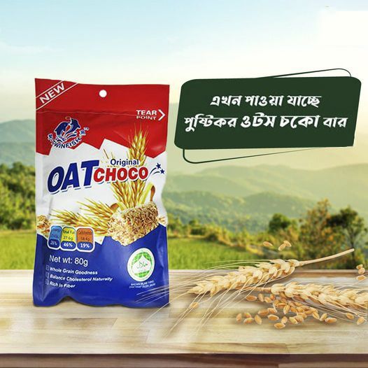 Twainish Oat Choco Chocolate Flavour Oats - 80 gm