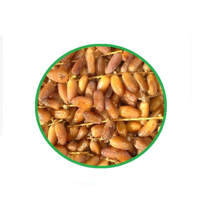 Packing of premium quality Farida dates brought from Saudi Arabia - 1kg