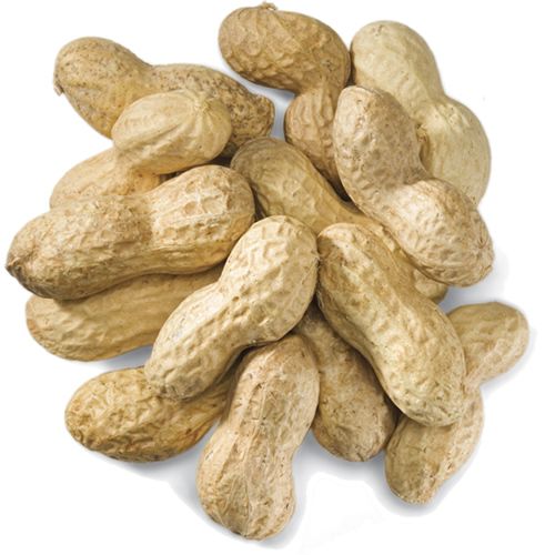 Raw peanuts china Badam-500gm
