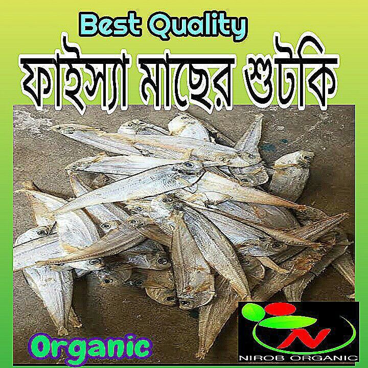Dry Fayssa Fish - ফাইস‍্যা মাছের শুঁটকি-100gm