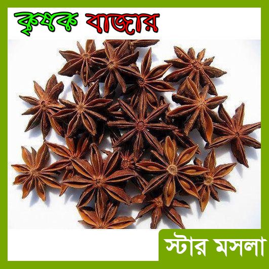 Star spice ষ্টার মসলা 100g