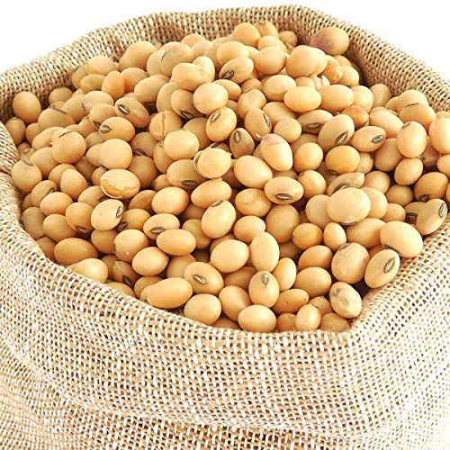 Soybean Seeds (Soybean Dana) - 1kg