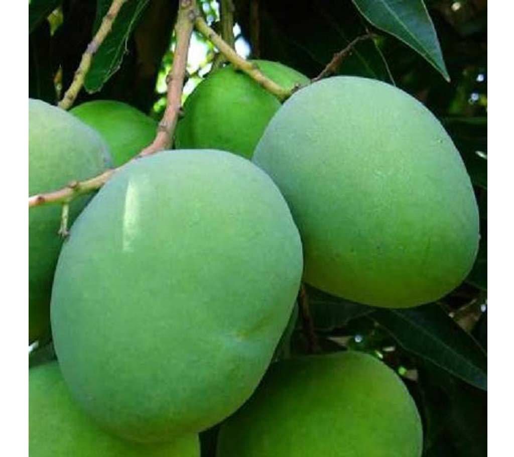 Langra Aam