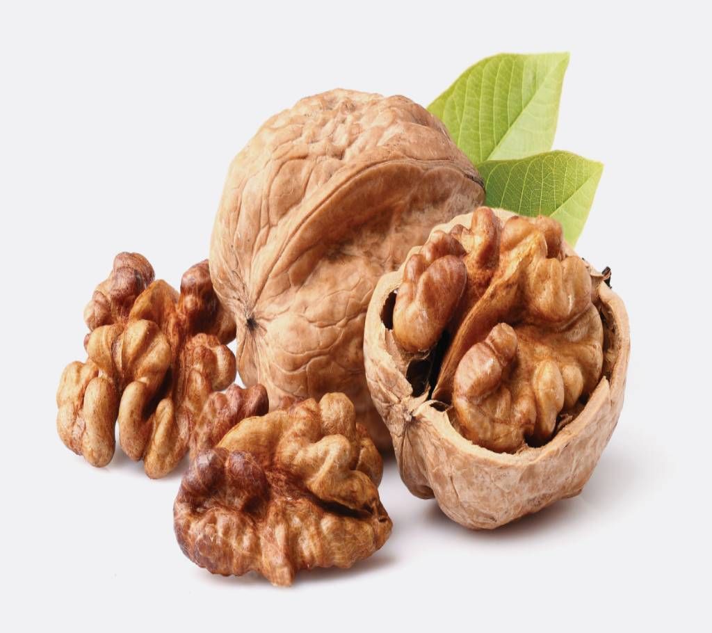 Walnut