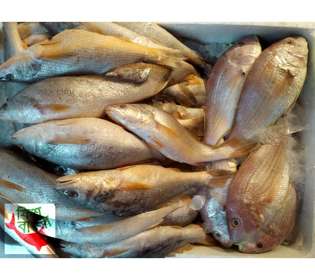 Sea Poa Fish 1kg 