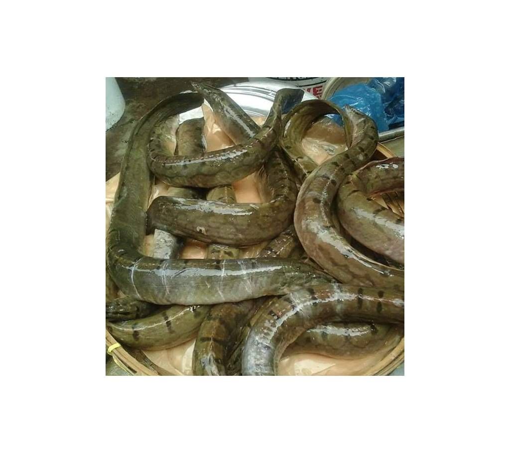 Deshi Baiem (River) 1kg+