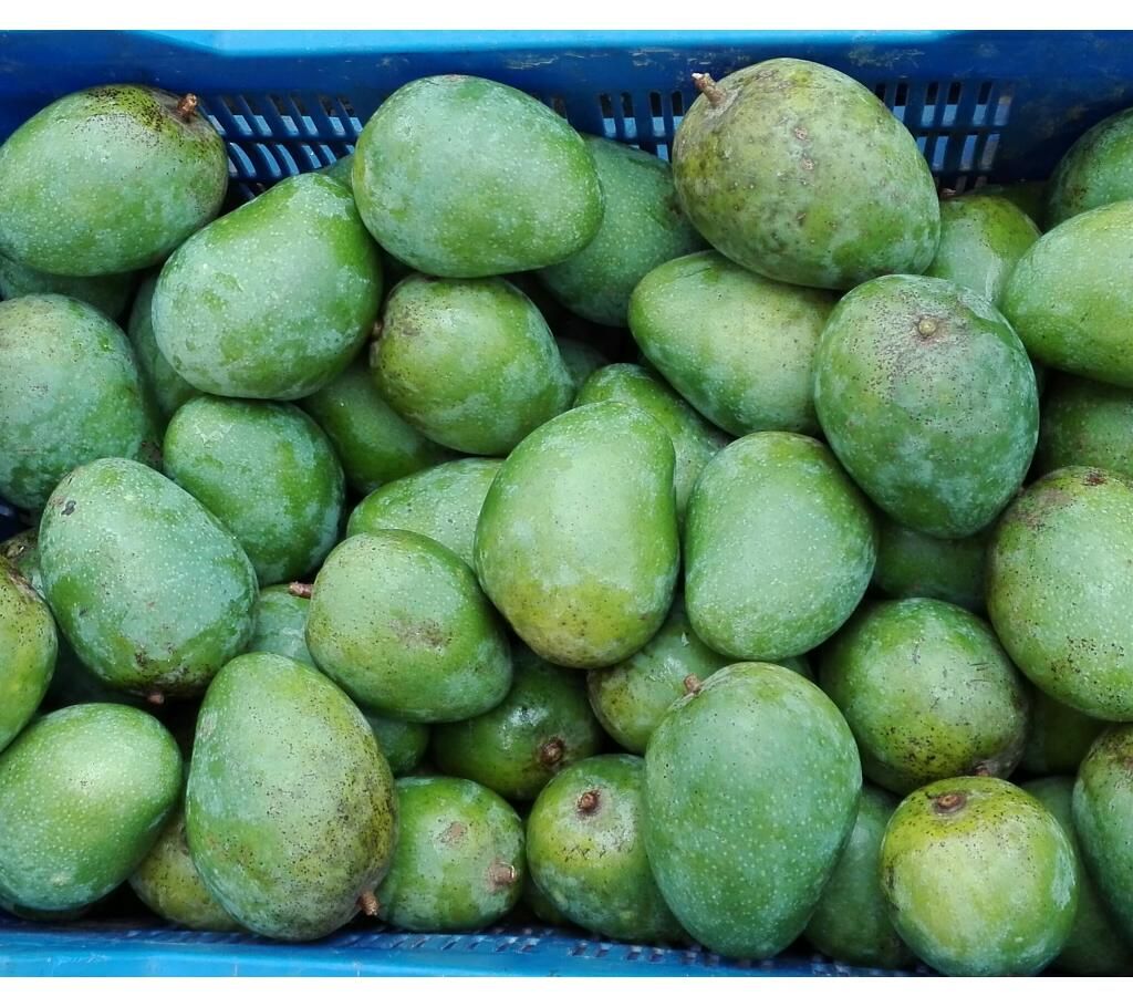 Gopal-bogh 40kg Pack