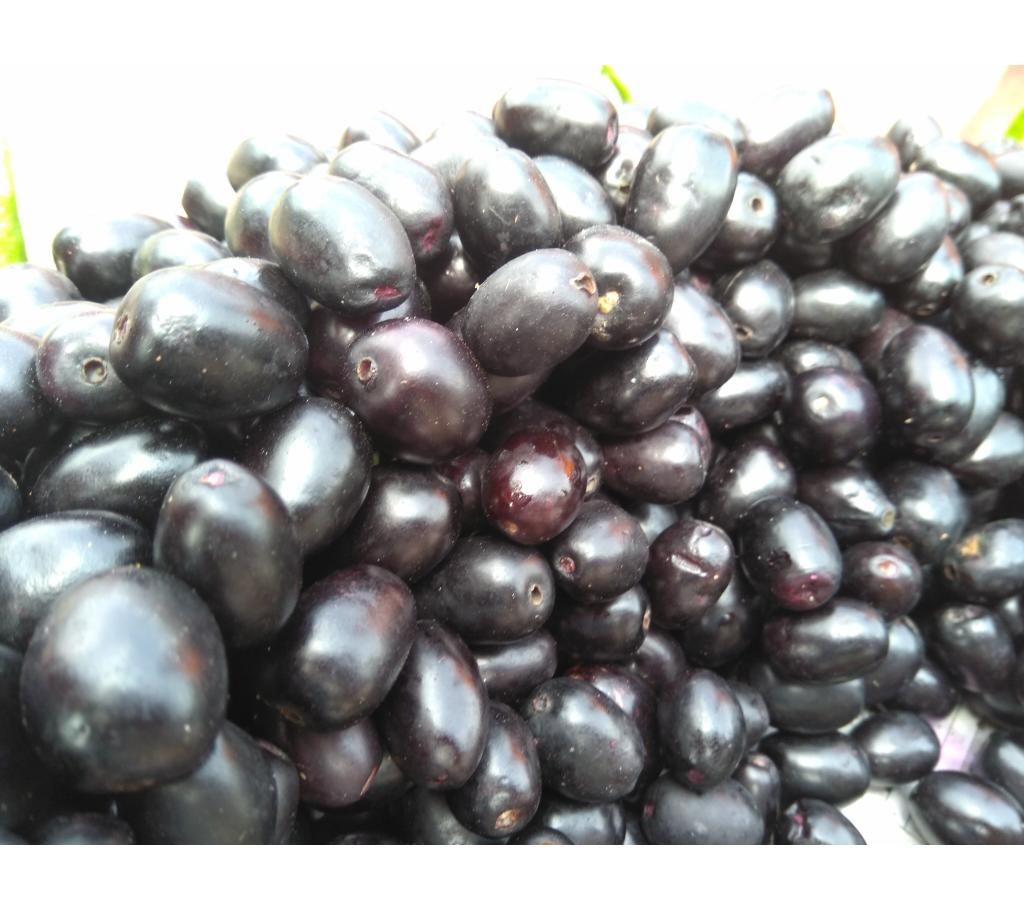 Jam 5 kg
