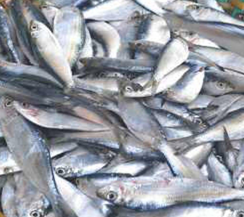 Chapila(sea) 1kg