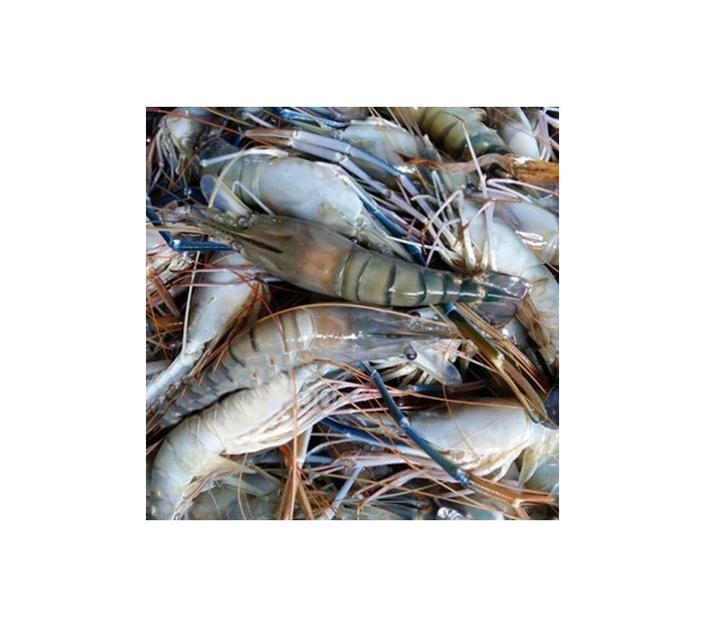 Big Prawn (Chingri)  500gm