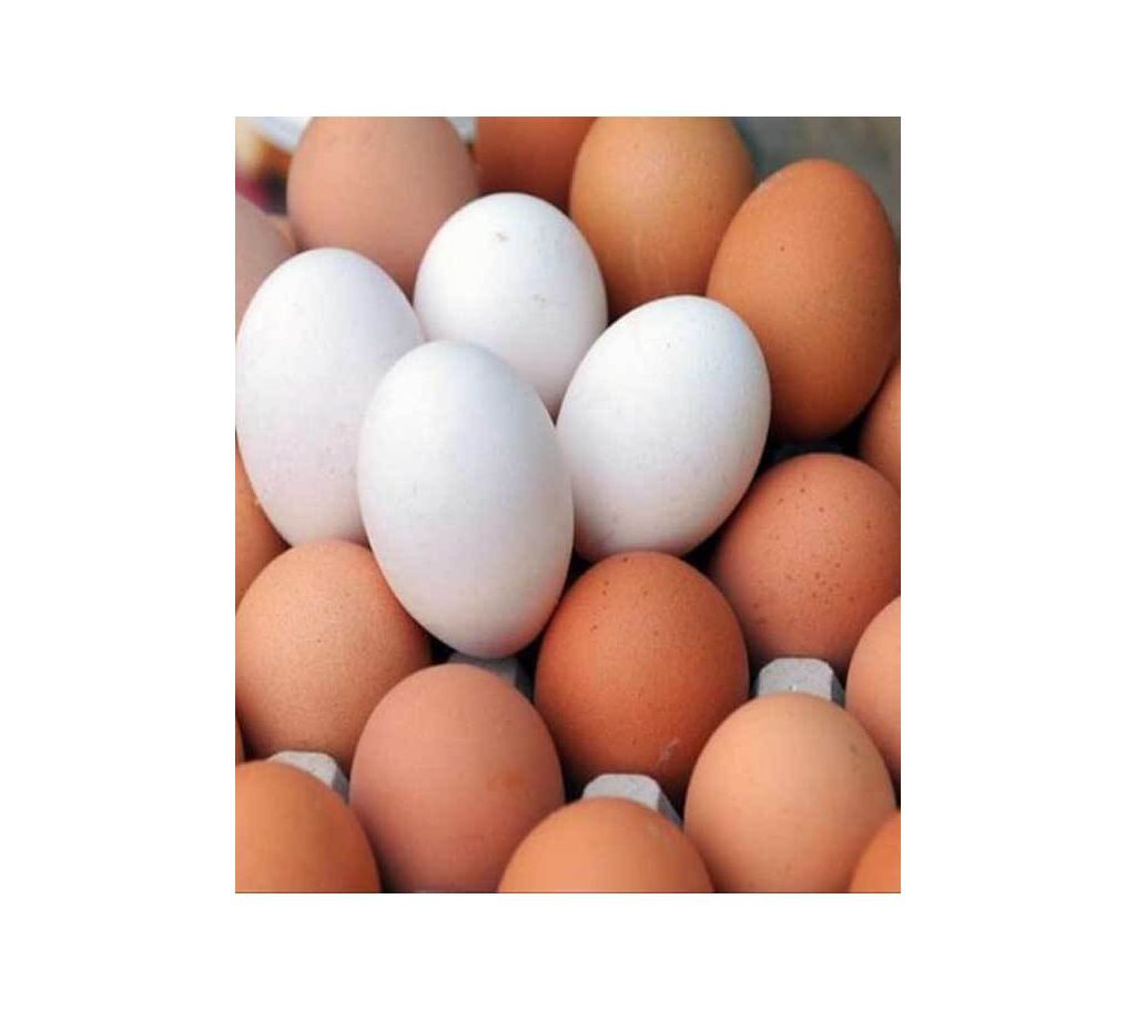 Egg 100pcs 