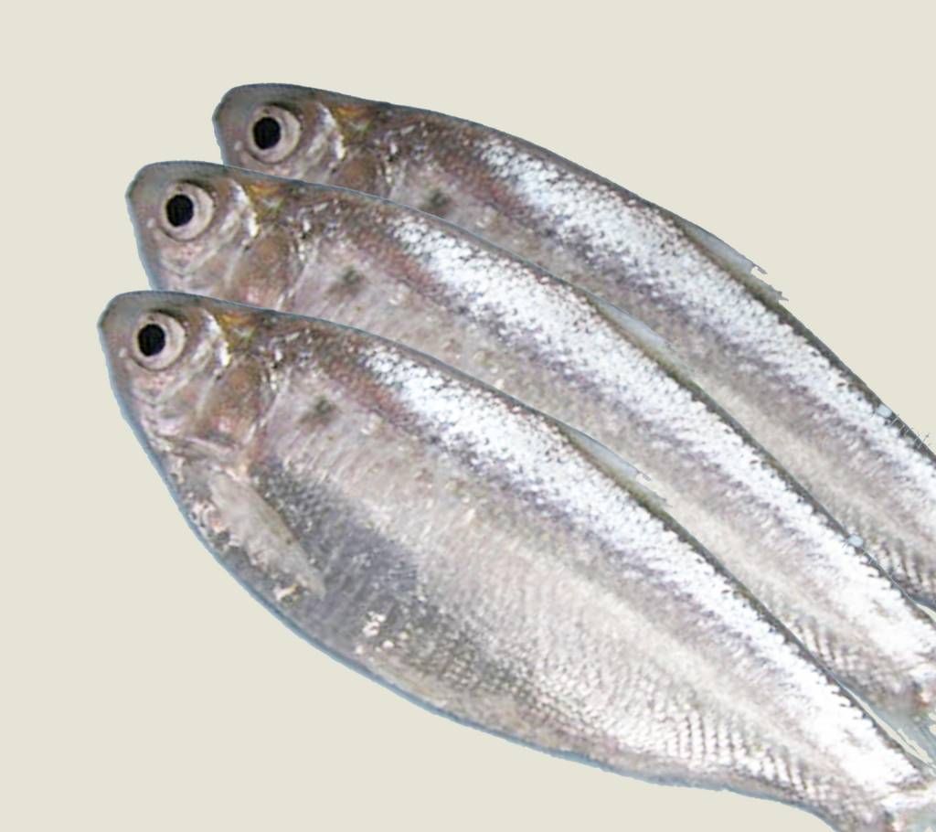 Deshi Chapila Fish (River) 1kg+