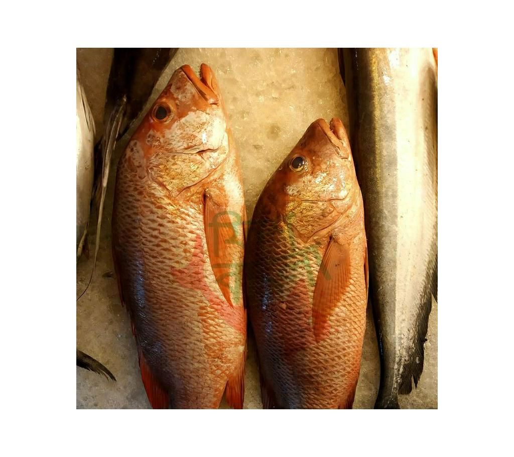 Red snapper from CoxBazaar 3kg