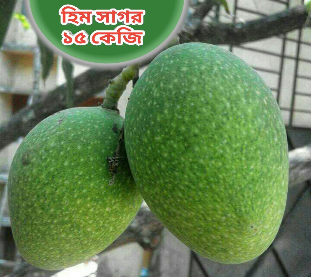 Himsagar Mango 15 KG