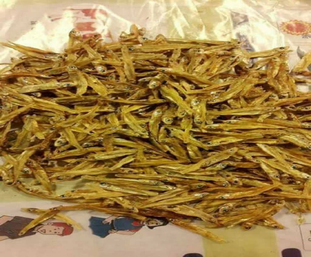 kachki shutki 