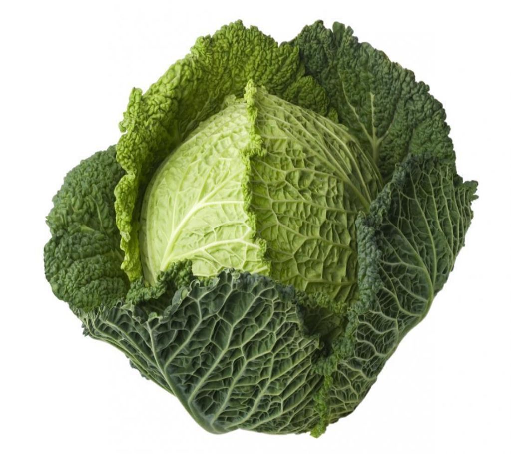 Cabbage (Badhakopi)  1pcs