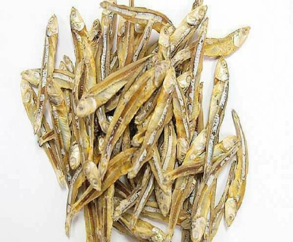 mola shutki 