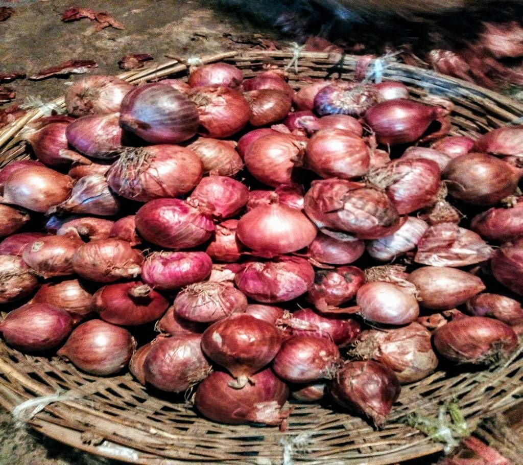 Onion ( red indian piyaj)