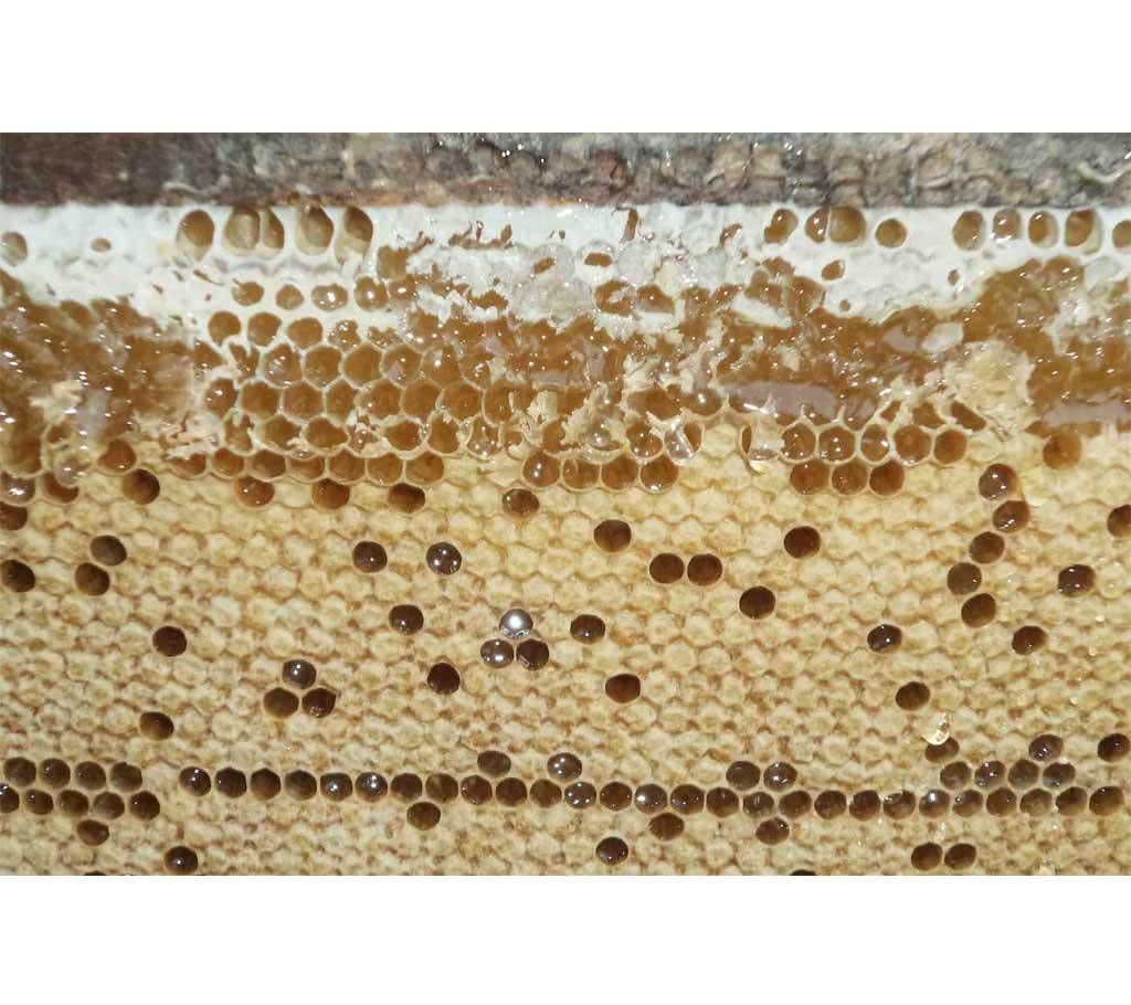Honey (Jessore)