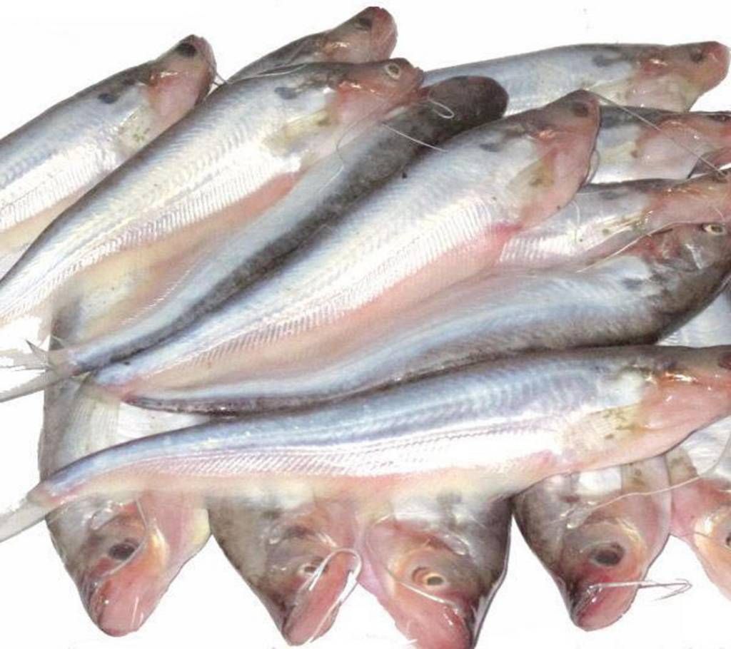 Deshi Kajoli fish (River) 1kg+