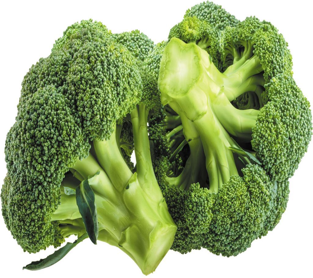 Broccoli  1pcs