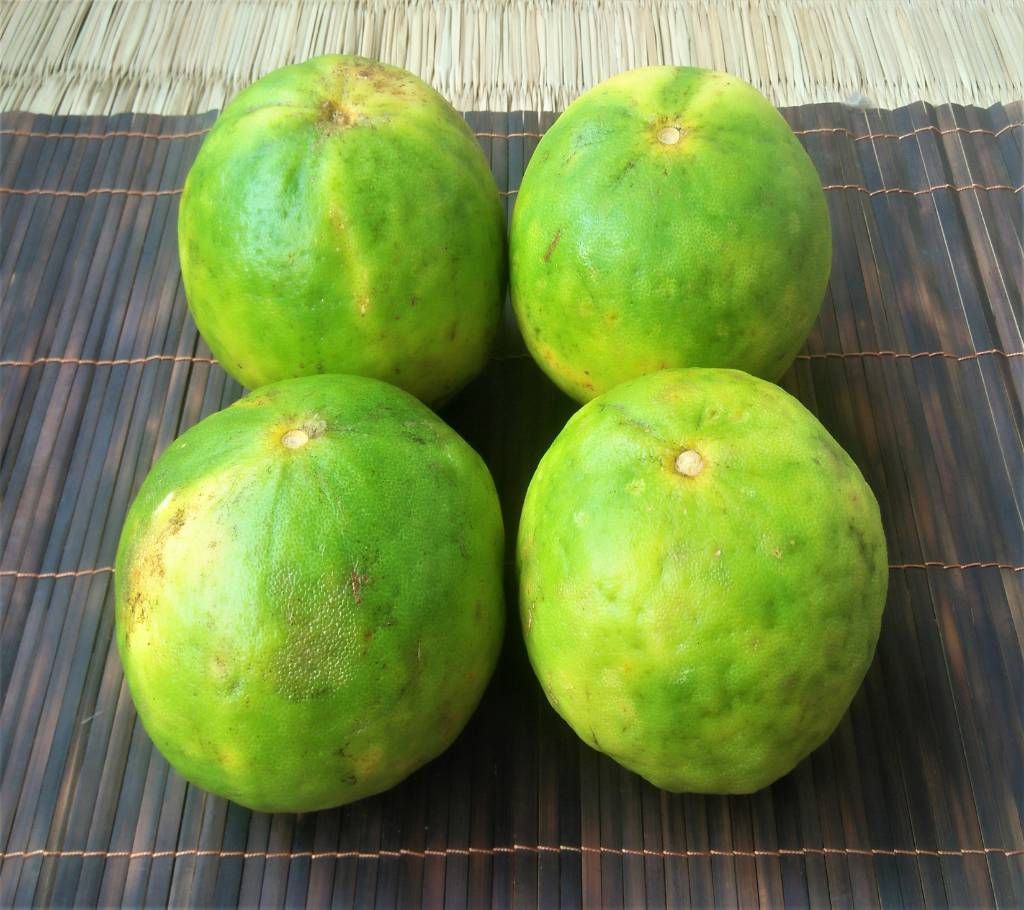 Satkora 4 pcs 