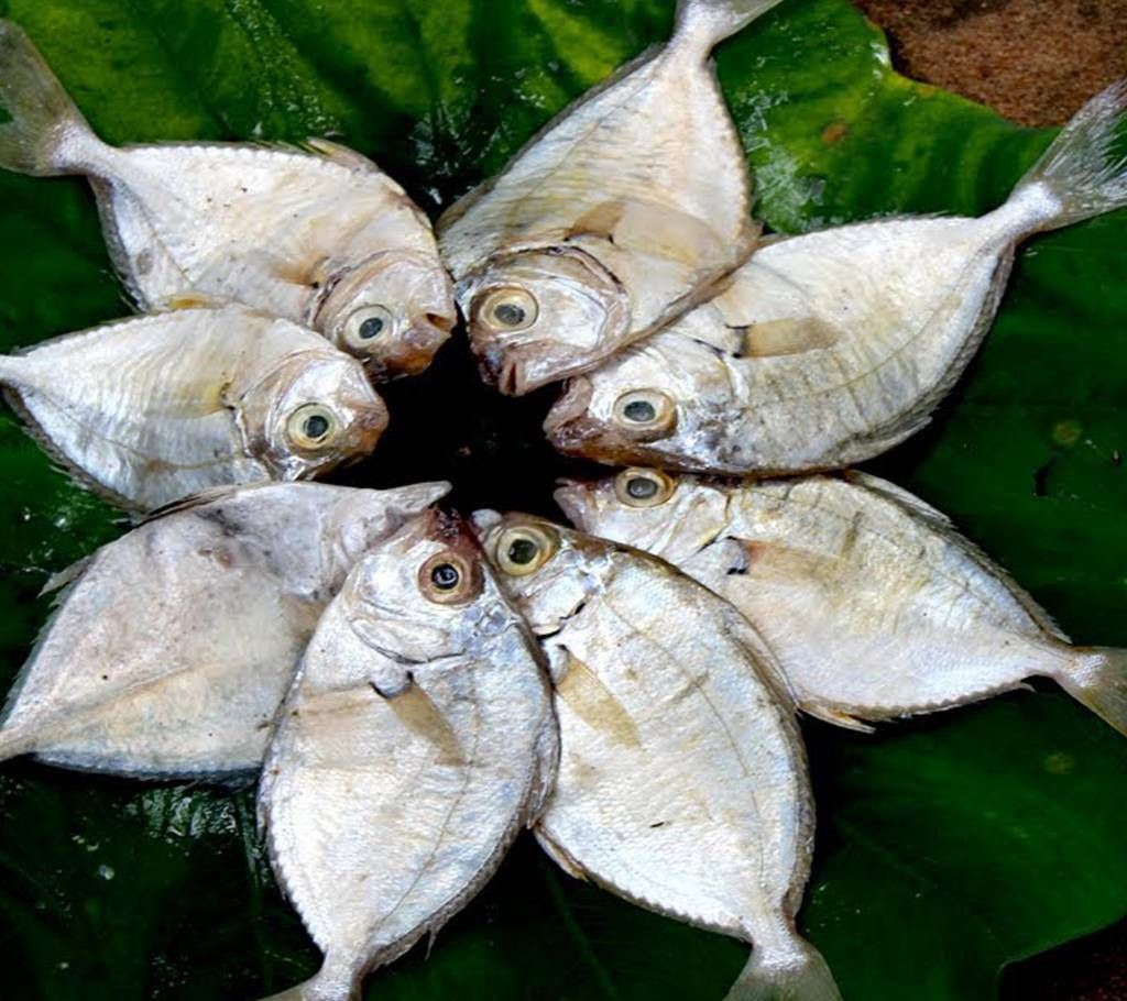 Sea Chanda 1kg+