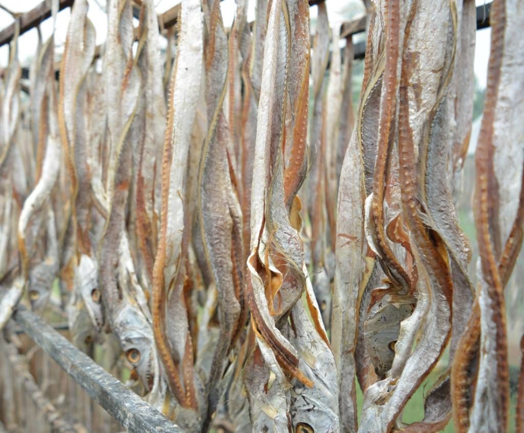 Kata Chhuri Shutki (Organic) - 1 kg