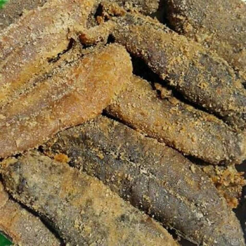 The eggs of nona hilsa 