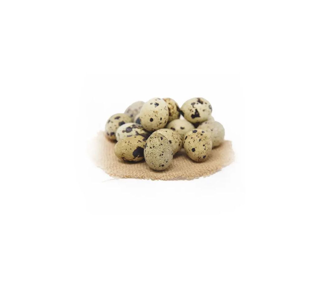 Quail Eggs  20pcs .