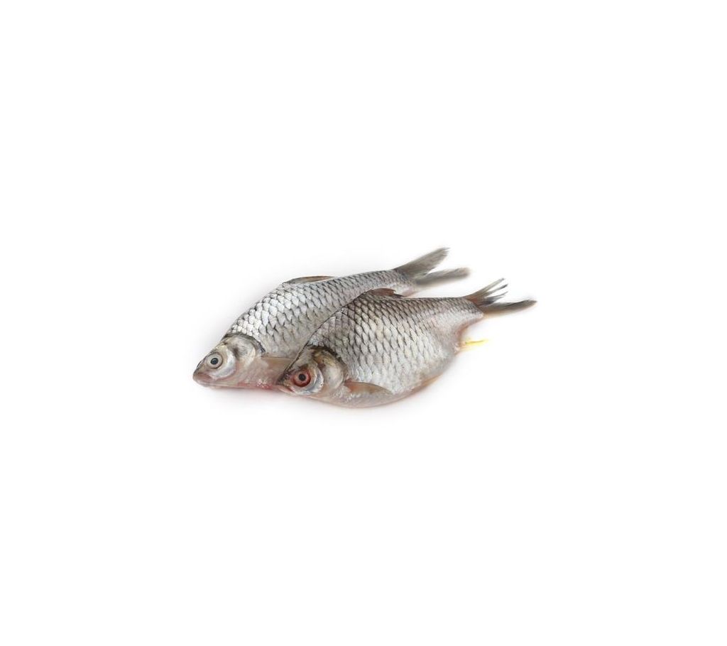 Sarputi Fish (Deshi) 1 Kg