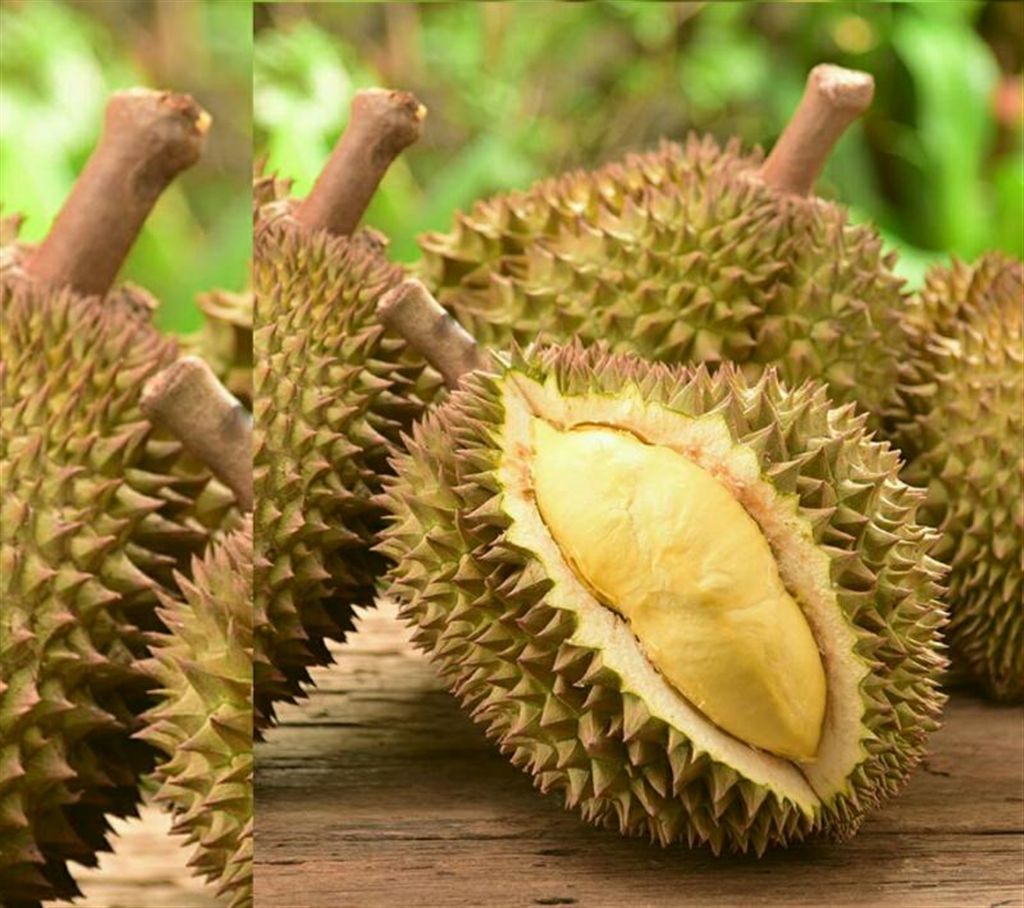 Durian Thai Bamboo (1 Kg)