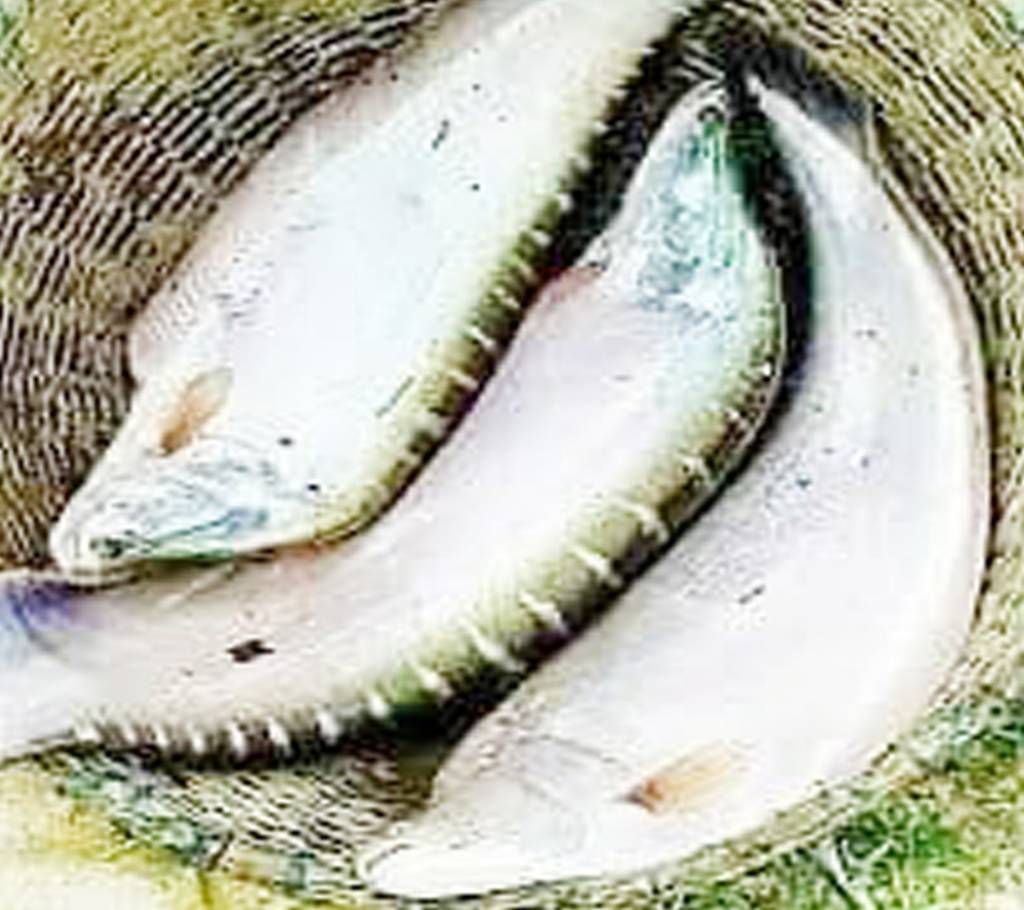 Chitol (River)