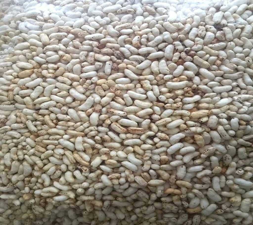Muri (1 Kg)