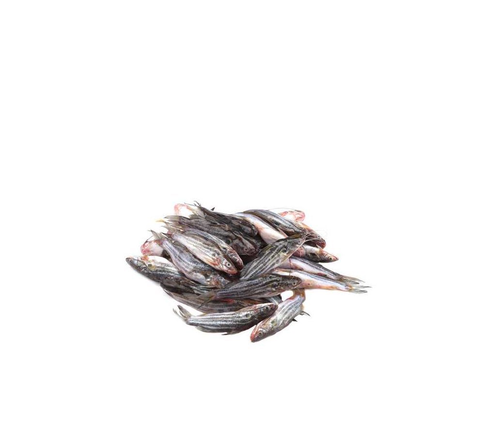 Tengra Fish  500gm