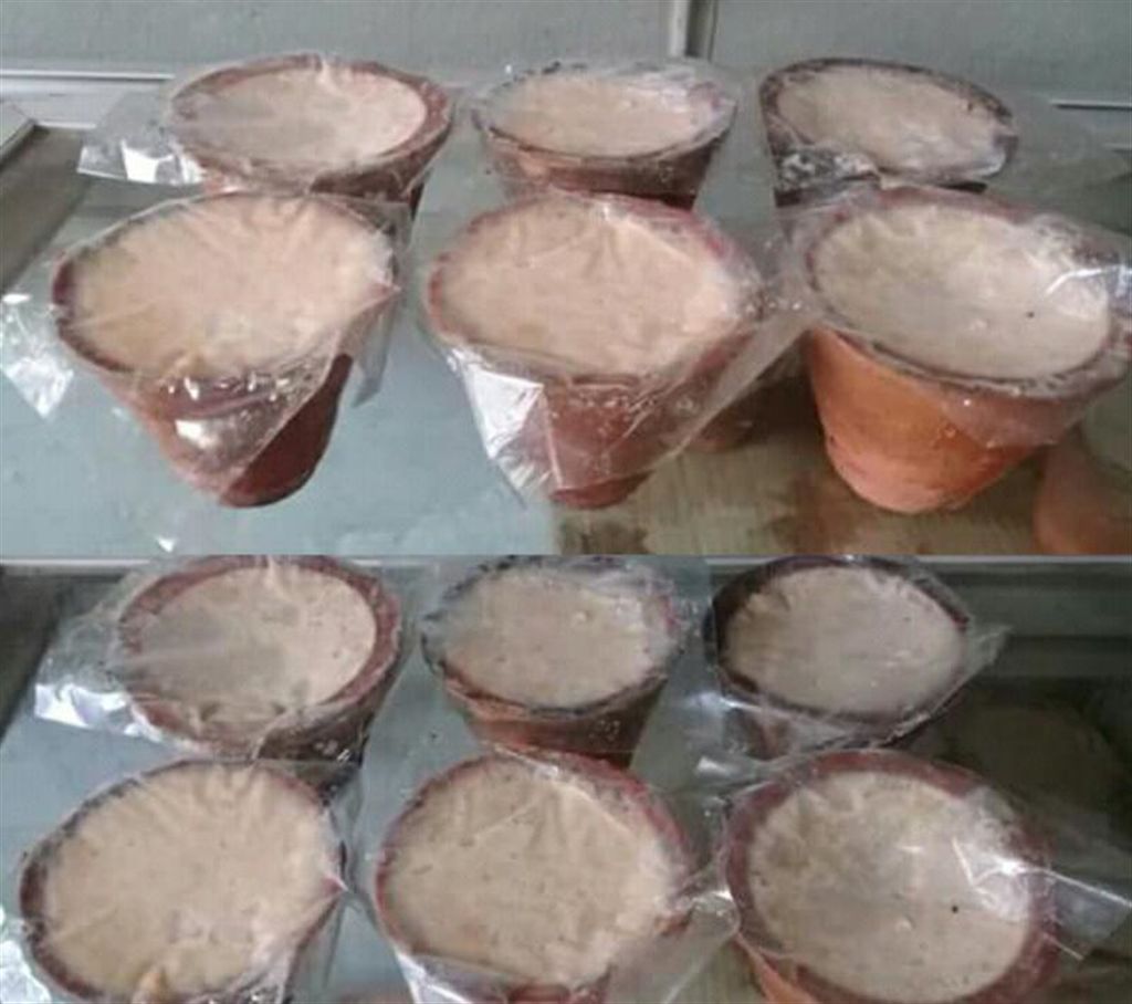 Curd of Bogra (12 Pcs)
