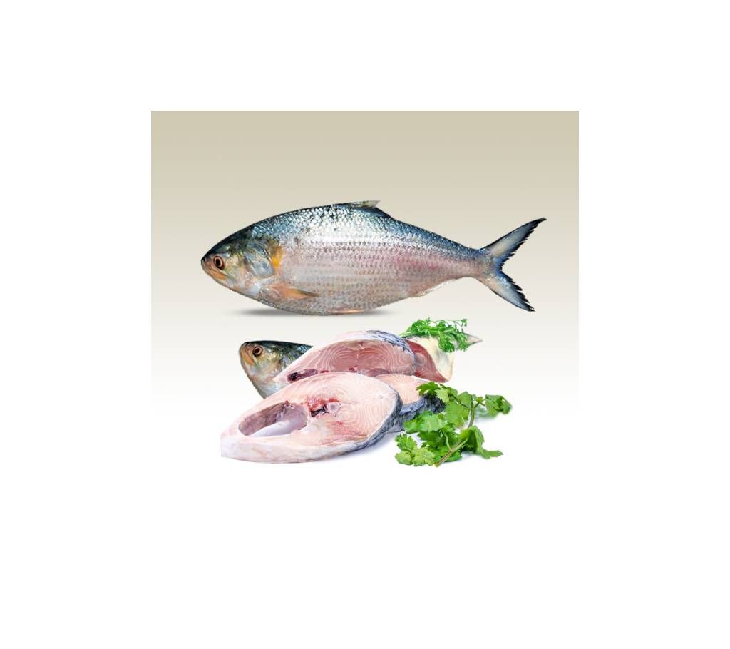 Hilsha fish 600gm+